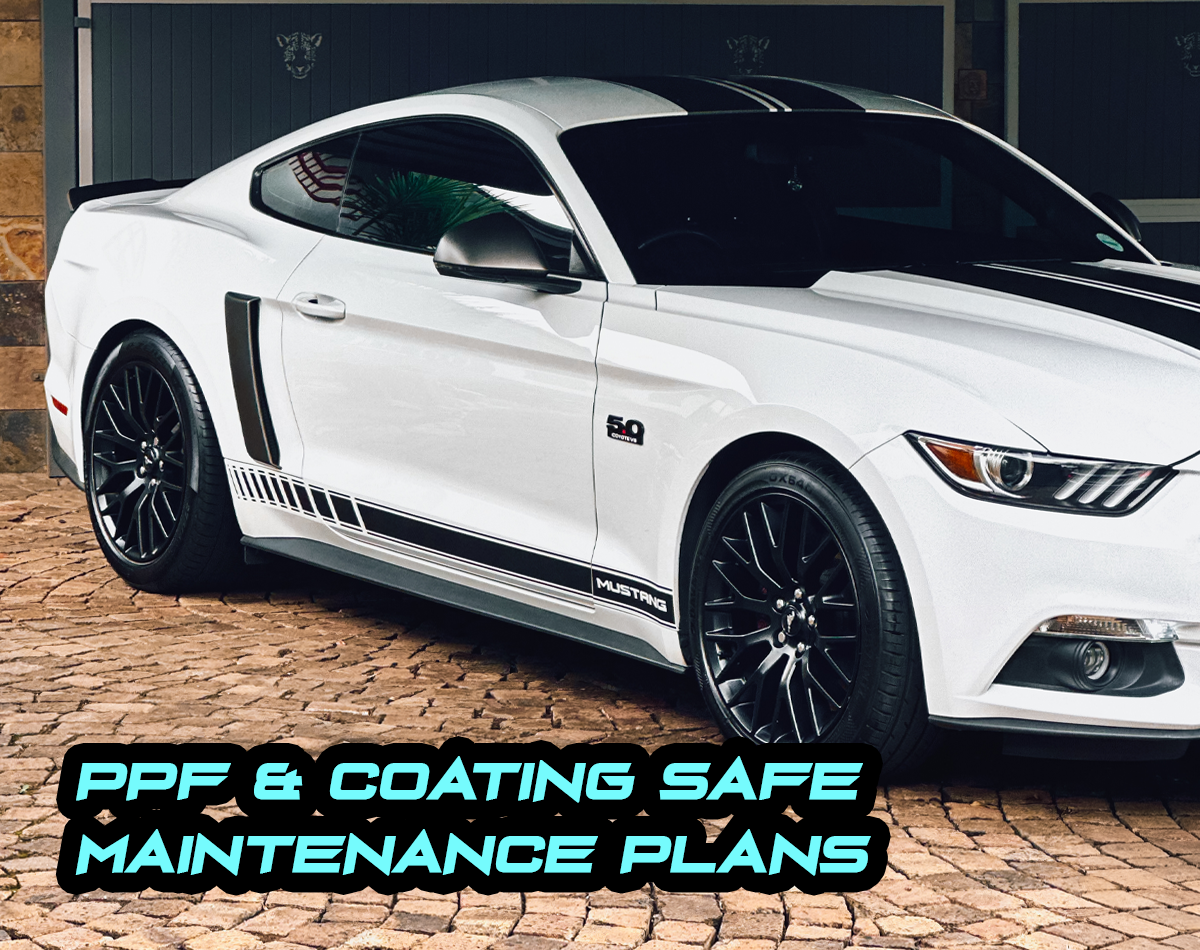 NEW MUSTANG WEB PIC